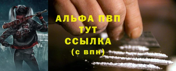 гидра Алексеевка