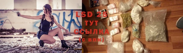 ПСИЛОЦИБИНОВЫЕ ГРИБЫ Абаза