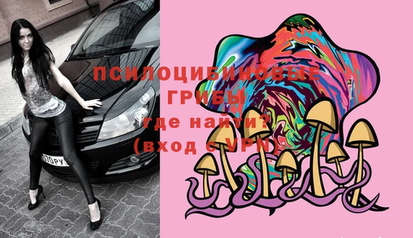 ПСИЛОЦИБИНОВЫЕ ГРИБЫ Абаза