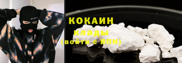 ПСИЛОЦИБИНОВЫЕ ГРИБЫ Абаза