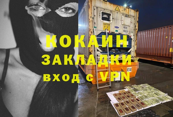 ПСИЛОЦИБИНОВЫЕ ГРИБЫ Абаза