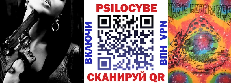 купить наркоту  Шумерля  Галлюциногенные грибы мицелий 